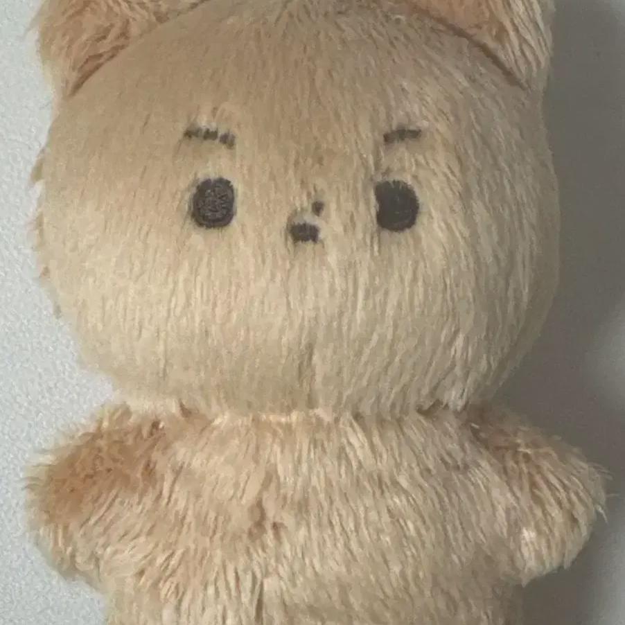 

Лунный медведь