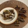 Dark Series Tortoiseshell Leopard Acetate Claw Clip: Large/Medium Hair Clip for Women