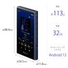 Sony Walkman 32GB A300 Series NW-A306 Wireless Hi-Res Wireless, Streaming, LDAC & aptX™ HD Codec Support, MP3 Player, Bluetooth, Android, microSD