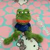 45cm Magic Expression Sad Frog Plush Toy Soft Stuffed Pillow Pepe The Sad Frog Animal Plush Doll Girls Boys Birthday GIfts Toys