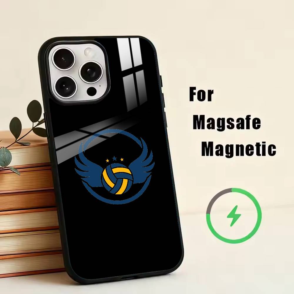 Volleyball Painted  Phone Case For iPhone17,16,15,14,13,12,11 Plus,Pro Magnetic For Magsafe Wireless Charging