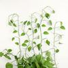 10 Pieces Plant Clips Wall-Mounted Self-Adhesive Clamps Indoor Outdoor Office Holder Plants Grow Fixture Household Balcony