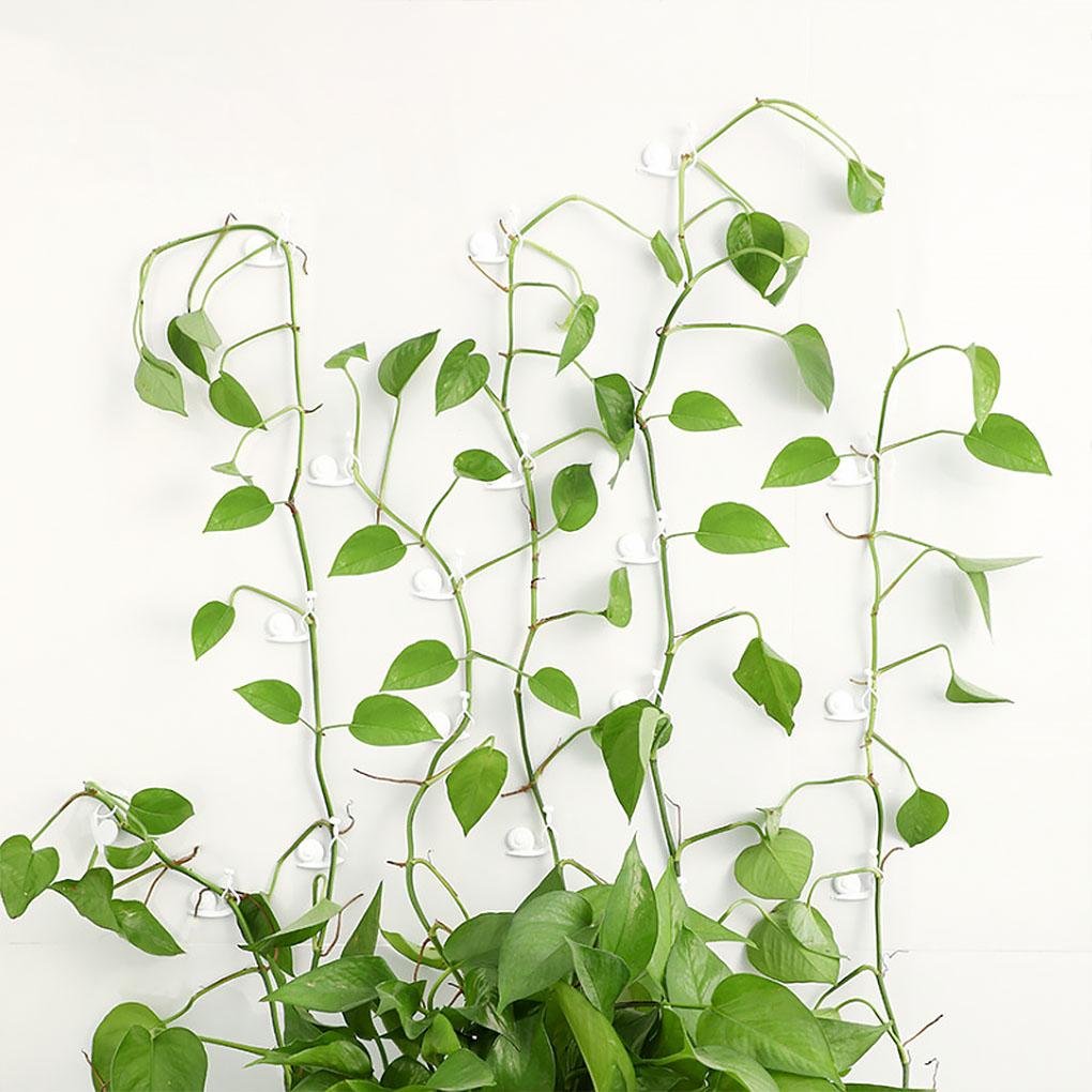 10 Pieces Plant Clips Wall-Mounted Self-Adhesive Clamps Indoor Outdoor Office Holder Plants Grow Fixture Household Balcony