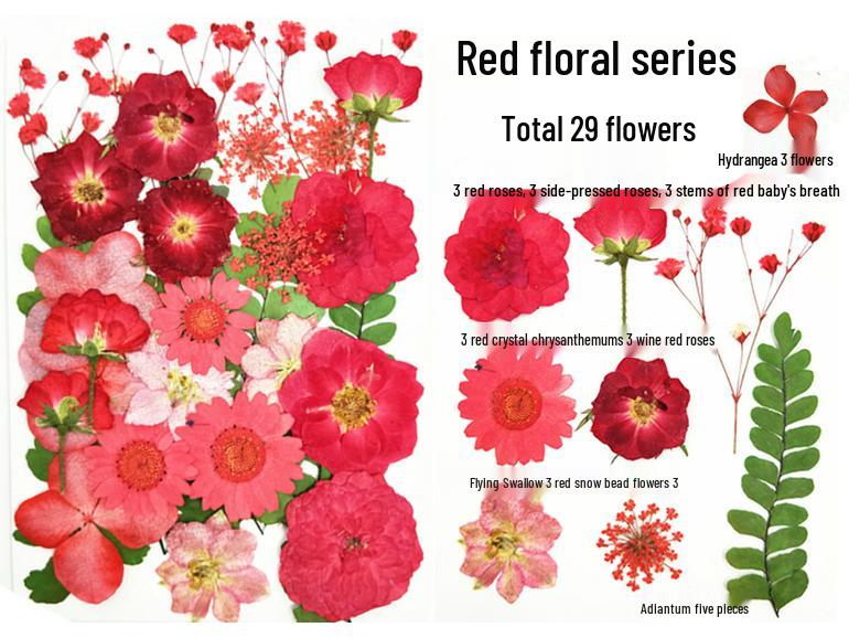 Handmade Kindergarten Collage: Real Dried Leaf and Flower Stickers for Face and Photo Decoration