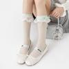 Women's Spring and Summer Thin Lace Lace Medium Tube Boneless Cotton Socks