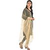 Net Embroidery Beige Women Dupatta Wedding Party Wear Designer Ethnic Chunni
