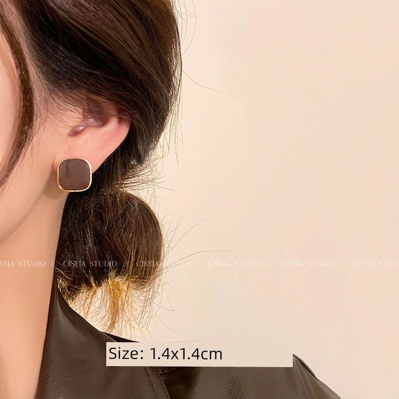 

Accessible Luxury Autumn Best Selling Exaggerated Women s Fancy Stud Earrings Small Edition Brown-Silver Needle