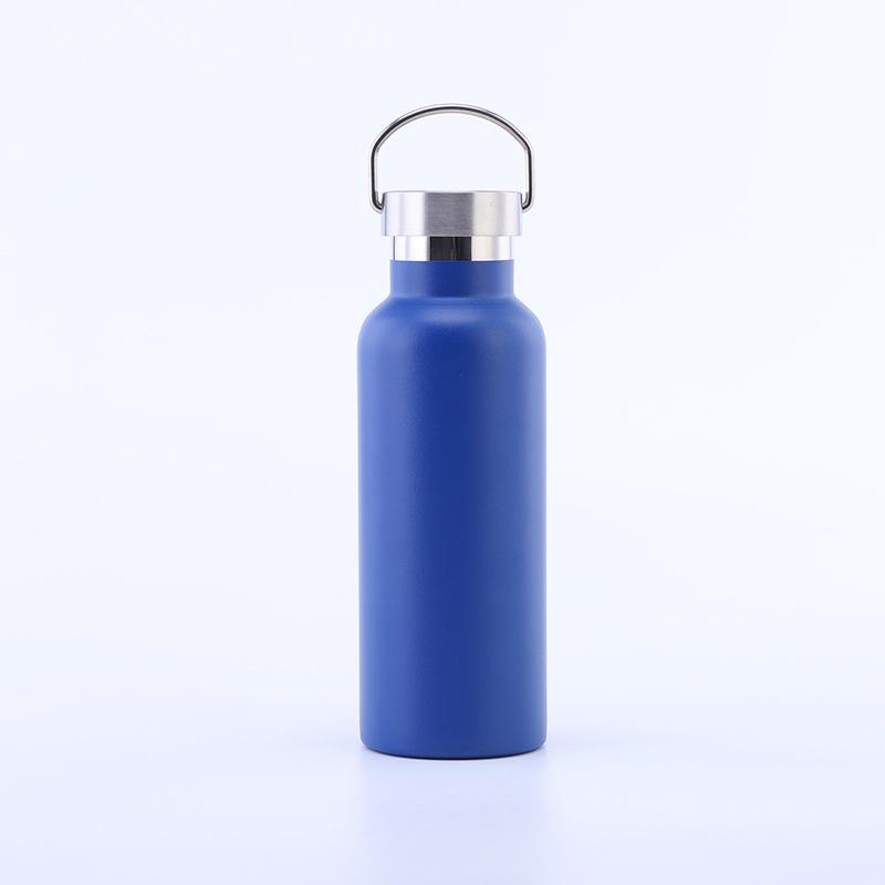 Stainless Steel Water Bottle with Handle Lid, Double Wall Vacuum Insulated Bottle for Sports Hiking Gym