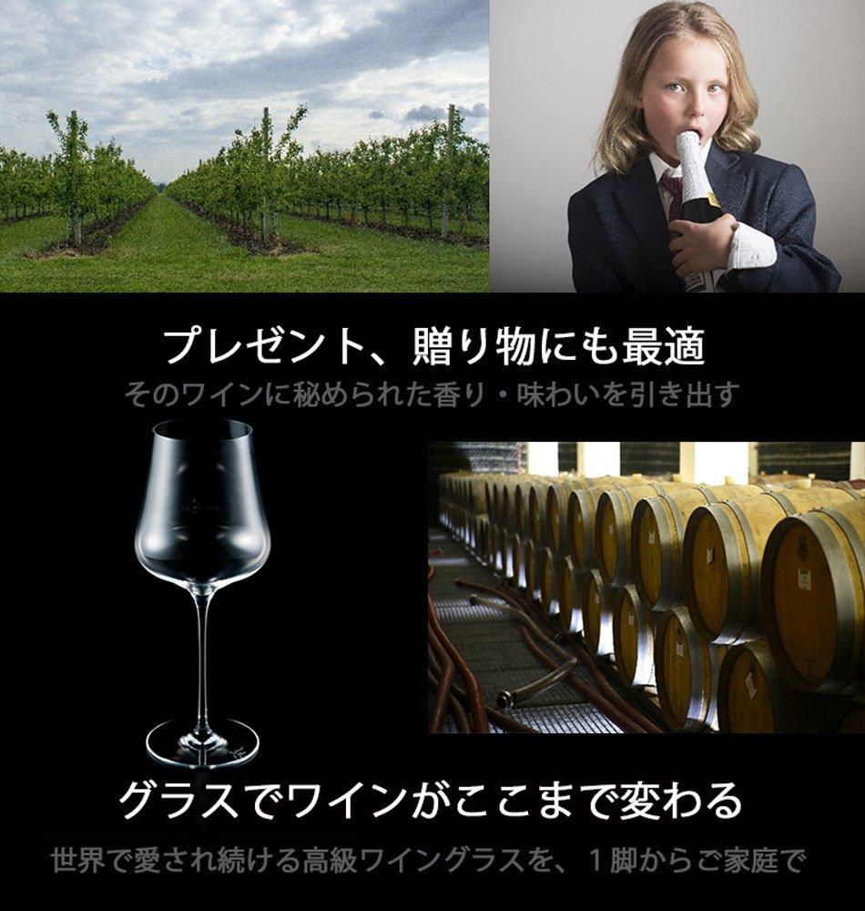Handgefertigtes Weinglas aus überraschend leichtem Blei-Luxusglas. Nachdem Sie daraus getrunken haben, werden Sie definitiv kein anderes Glas wählen [Gabriel Glass]
