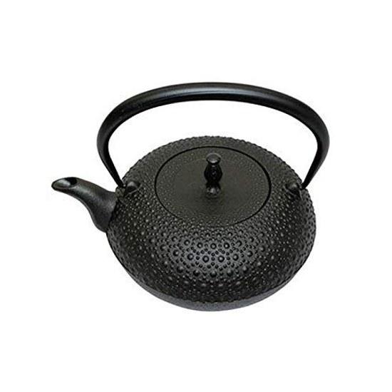 Sugiyama Nambu Ironware Teapot Shinonome Kikkō 1.0L IH Compatible H-200