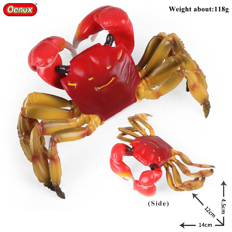 Oenux Ocean Animals Simulation Hermit Crab Nautiloidea Octopus Sea Life Model Figurines Action Figures Collection Kids Toy Gift