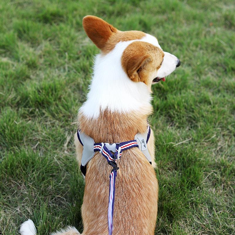 New leash pet leash dog leash vest type dog chest strap walking dog pet supplies