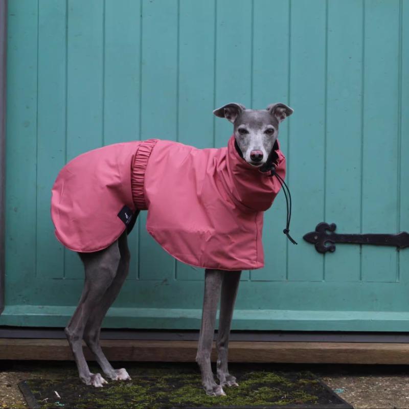 Wasserdichte Hundekleidung Haustier Hundeponcho Regenmantel Große Hunde Regenmantel Haustiere Hunde Zubehör Windjacke Kleidung Produkt Zubehör