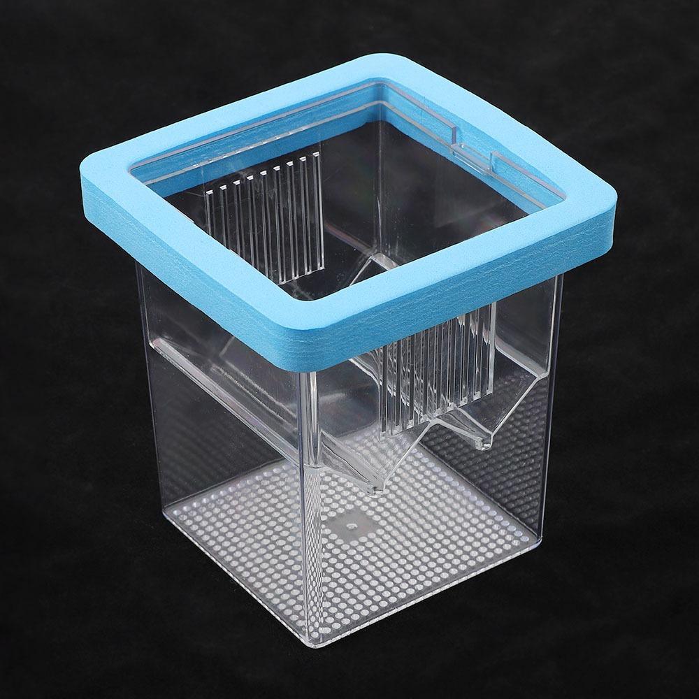Square Aquarium Fish Breeding Box Clear Fish Tank Hatching Incubator  Aquarium