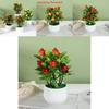 Artificial Plant Decoration With Plastic Craft For Home Office Decor