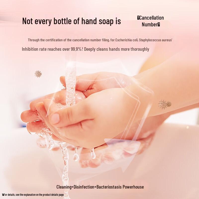 

Berdamy Children s Antibacterial Foaming Hand Soap