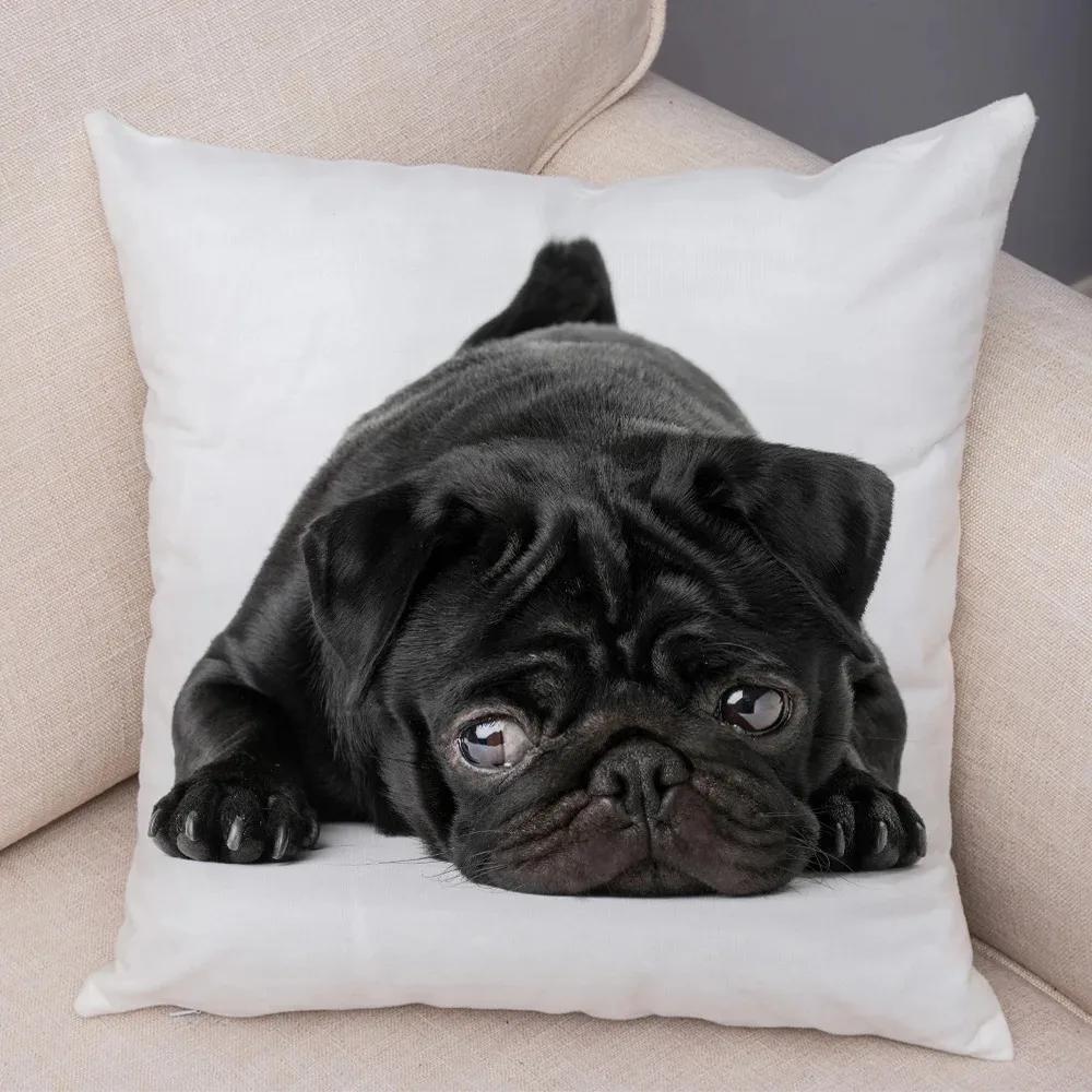 Soft and Cute Pug Series Double-sided Printed Decorative Pet Animal Pillowcases Suitable for Car Sofa Home Car Pillowcases