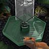 Anti-slip Reptiles Water Feeder Stable Detachable Automatic Water Dispenser Plastic Lizard Food Feeder for Amphibians