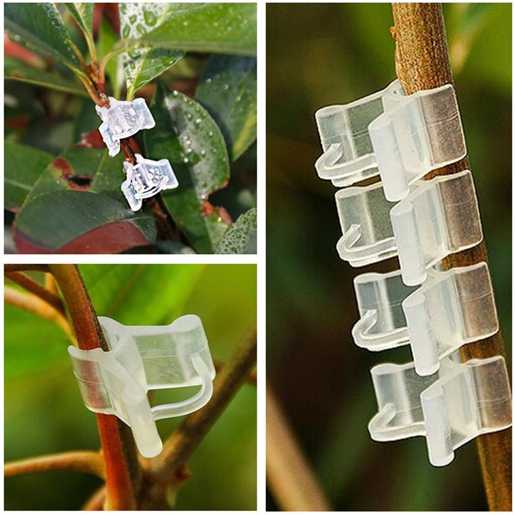 Transparenter Weißer Veredelungsclip Pflanzenblume Obstwein Setzling Äste Klemme Gartenpflanzen Migration Befestigung 50/100/200 Stück