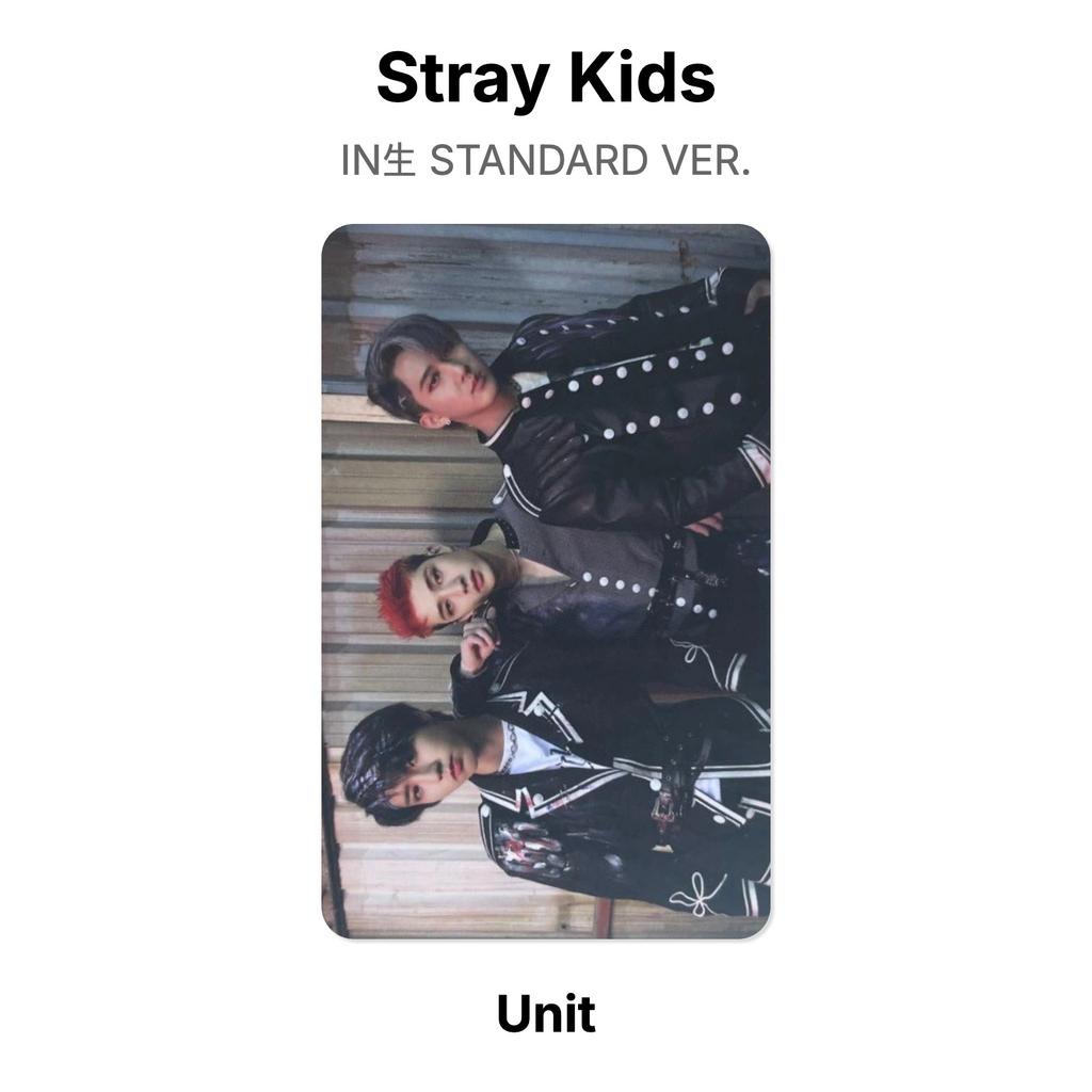 Stray Kids IN STANDARDVERSION. Offizielle Fotokarte