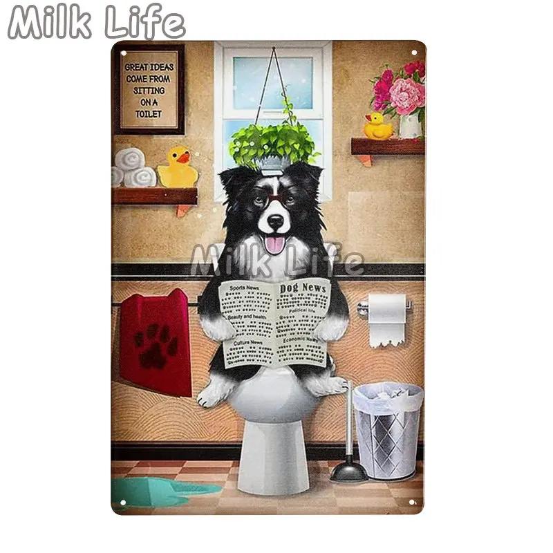 Metal Tin Sign Vintage Funny Border Collie Dog for Coffee Bathroom Toilet Pet Shop Home Sweet Home Sign Bedroom Art Wall Decor