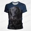 Summer New Clothing Pug Dog 3D Print Girl Kids Kawaii Printed T-shirt Fashion Harajuku Short Sleeve Men Women Children T shirt