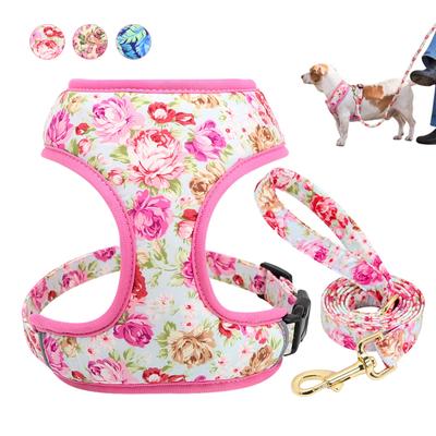 Novo Conjunto de Arnês e Trela Ajustável Fofo Estampado Malha Macia para Animal de Estimação Cachorro Gato Cão Guia de Passeio para Cães Gatos Pequenos Médios Chihuahua
