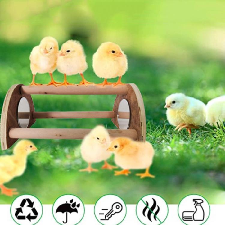 Chick Perch for Chicks Wood Stand with Mirror Roost Training Bar for Baby Chicks