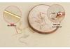 Tingxiang Sterling Silver Round Bead Earring Hooks - DIY Jewelry Accessories
