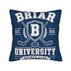 Off Campus Poster 2 Pillow Cover Soft Cushion Cover Retro Trendy Pillow Case For Wedding Party Home Decor