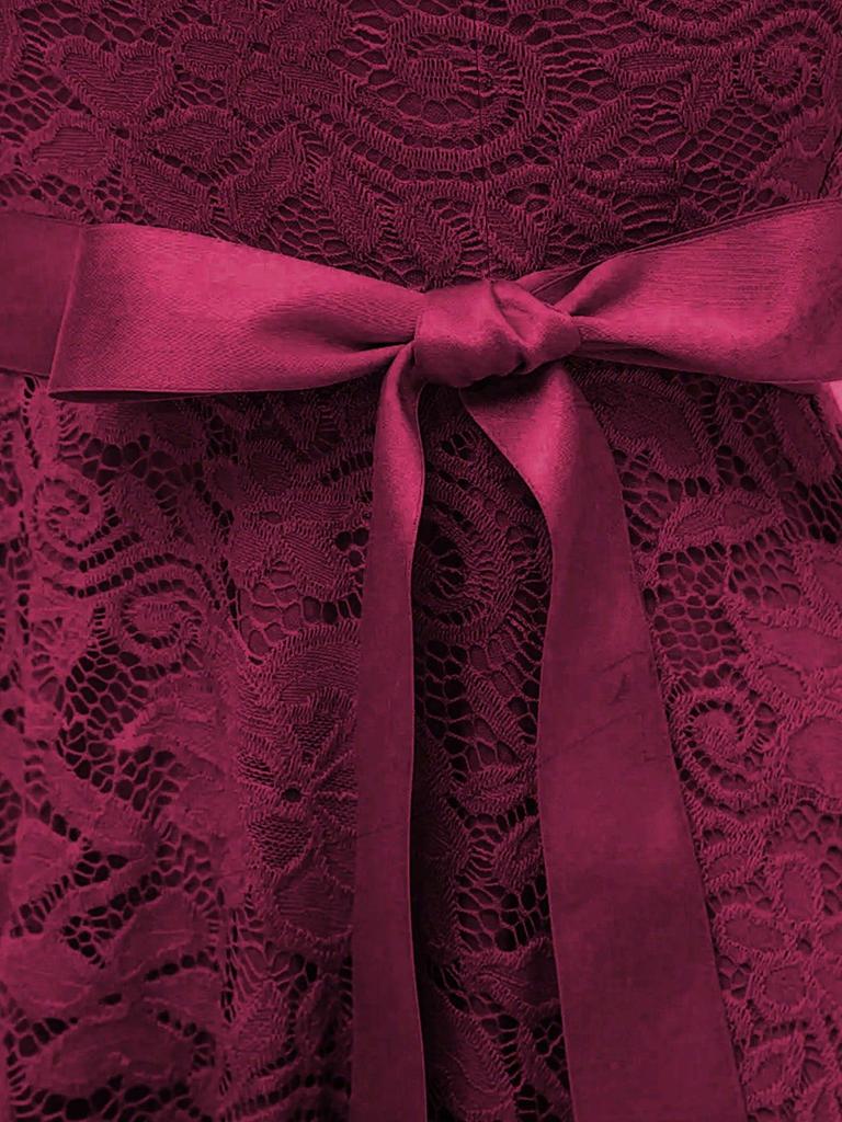 Spring-Summer Lace Slim Fit Bowknot Formal Dress