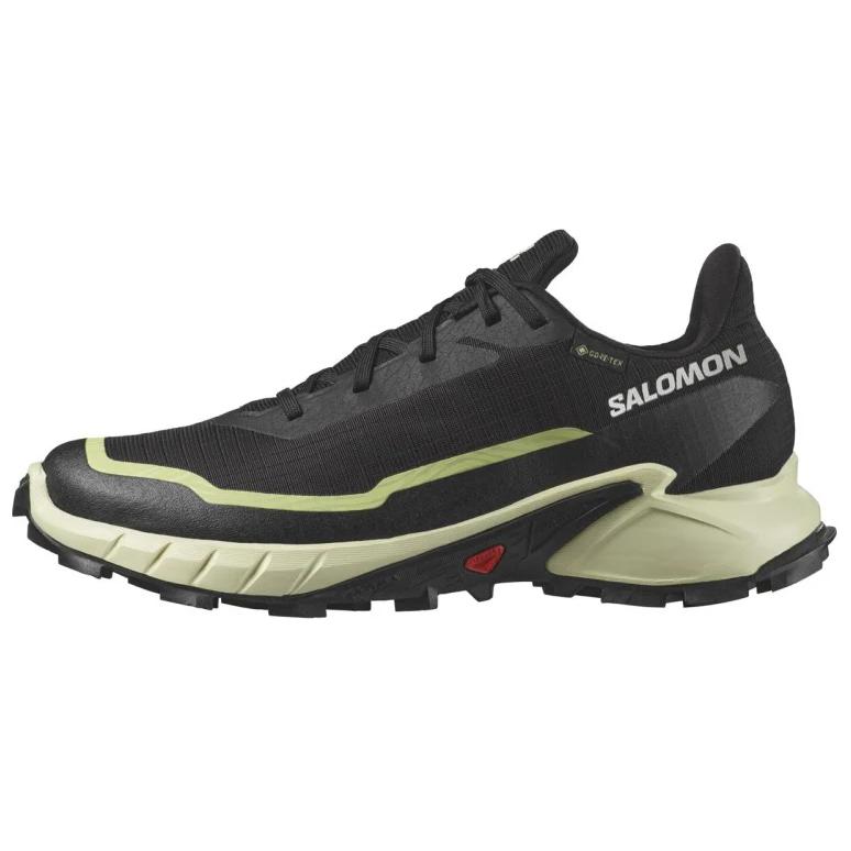 

SALOMON Alphacross 5 Gtx Black Green Women s 474606 38