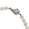 Akoya Pearl 53 grains Necklace Pearl white Women Used