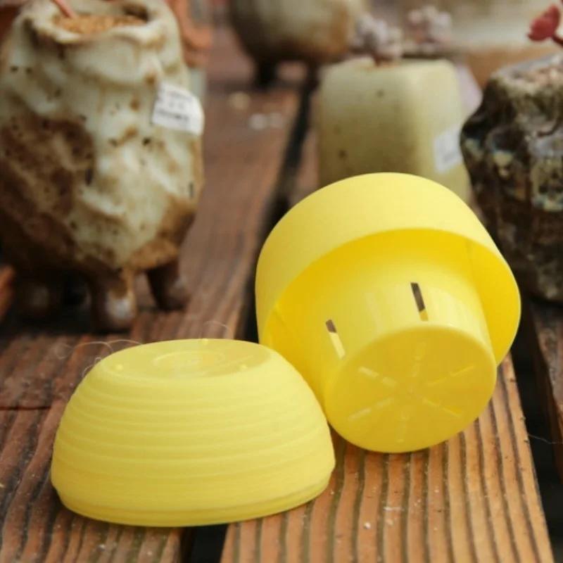 2Pcs Stone Pill Pot Reticulate Grass Pots Fleshy Plant Desktop Flower Pot Mini Flower Pot Plant Pots Random Color