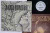 12inch Record ANNA DOMINO  Rhythm  Sixteen Tons  Half Of Mys 12TWI520 LES DISQUES DU  1985 Belgium Rock Used