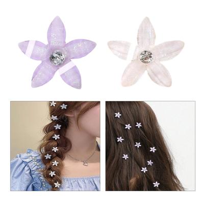 10 Stück Strass Blume Haarspange für Mädchen Frauen Abschlussball Anlass Leichtgewichtige Blumige Haarnadel Freundliche Haardekorationen