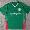 Palmeiras Serie A Football Jersey - Willian Edition