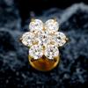 Right Grand ASTM F136 Titanium 16G Tiny Flower CZ Stud Earring Tragus Helix Rook Conch Labret Stud Flat Back Cartilage Piercing