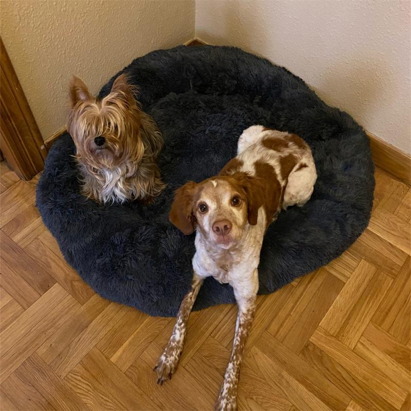 Super Soft Dog Bed Plush Cat Mat Dog Beds Round Cushion Pet Product Accessories Washable Dog and Cat Cushion Bed Winter Warm Sofa Hot Sell