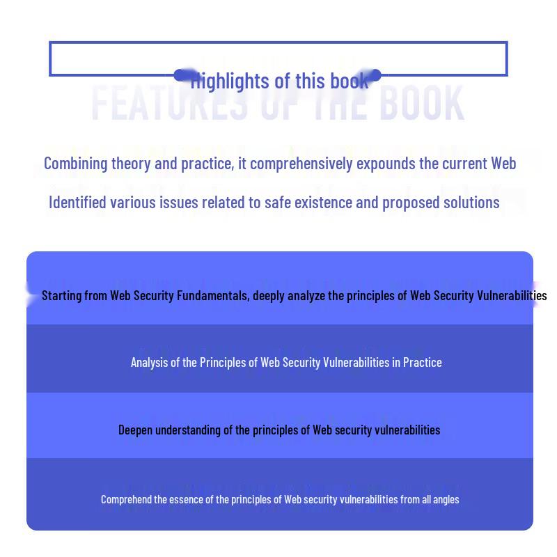 Web Security Vulnerabilities: Principles and Practice
