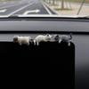 Cute Car Decoration Sleeping Cat Doll Creative Auto Ornaments Toys Cat Micro Landscape Model Cute Car Accessories Gifts