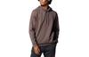 Under Armour Sweatshirts Men's Brown Hooded Moderate Other 1379668-057