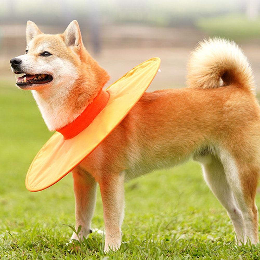 Protective Pet Neck Cone Oxford Cloth Cat Cone Elizabethan Collar Pet Recovery Collars  Grooming