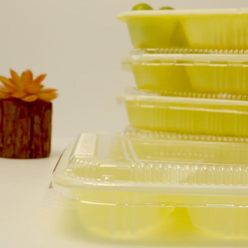 Disposable 5-Compartment Lunch Box