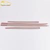 Cavalier Door Edge & Body Trim Anti-Scratch Strip for 2019 Model
