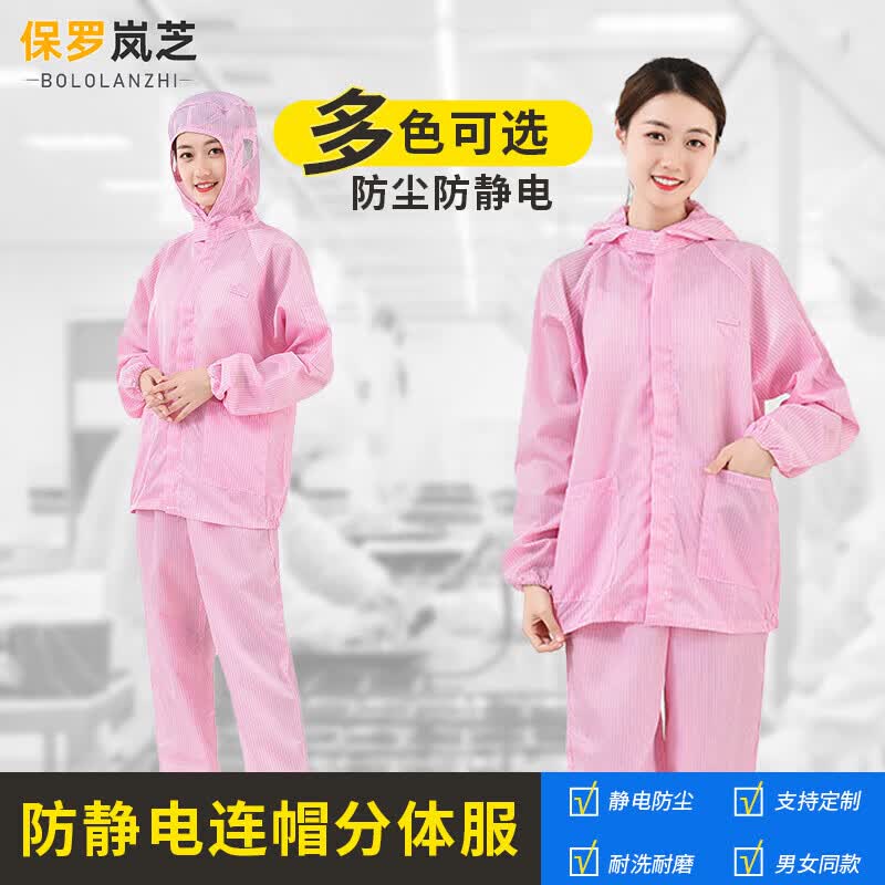 Paul Lan Zhi Anti-Static Cleanroom Suit M