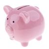 Cute Ceramic Piggy Bank Coin Money Cash Collectible Saving Box Pig Toy Kids