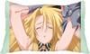 Hyakka Ryoran Samurai Girls Volume 4 [Blu-ray]