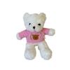 Ins Plush Teddy Bear Doll Sweatshirt Bear Doll Sleep Hug Bear Boy and Girl Toy Birthday Gift