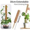 2Pcs Foam Stick, Coconut Foam Stick, Used for Climbing Plants, Reusable Telescopic Support, Used for Flowering Plants 30cm